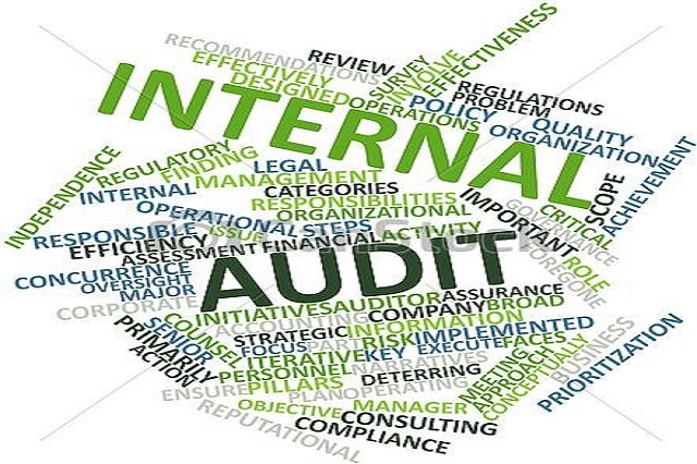 internal-audit-drawing